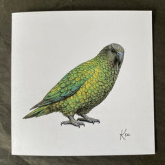 Kea Greeting Card - Wix & Bloom