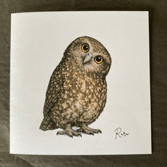 Morepork - Ruru Greeting Card - Wix & Bloom