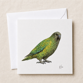 Kea greeting card — illustrated NZ alpine parrot, 300gsm cardstock with envelope, designed & printed in New Zealand by Wix & Bloom