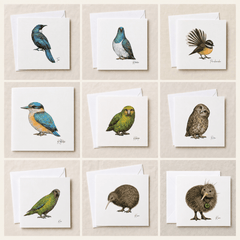 Kiwi Greeting Card | Birds of Aotearoa - Wix & Bloom
