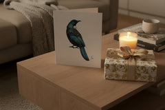Tui