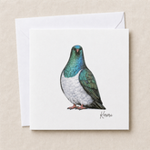 Kererū greeting card — illustrated NZ native wood pigeon, 300gsm cardstock with envelope, designed & printed in New Zealand by Wix & Bloom