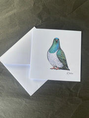 Kererū Greeting Card