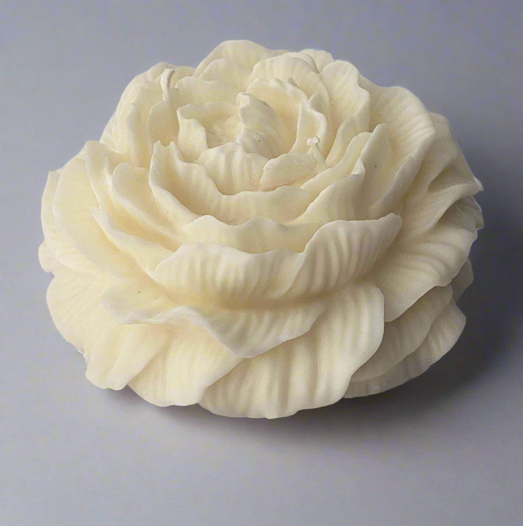 XL Peony Bloom Unscented