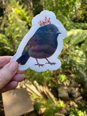 Karure Black Robin – Bird of the Year Greeting Card & Sticker